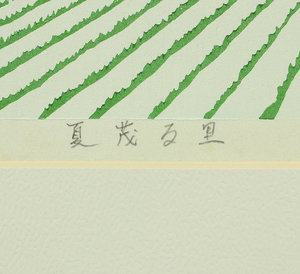 Thumbnail 31