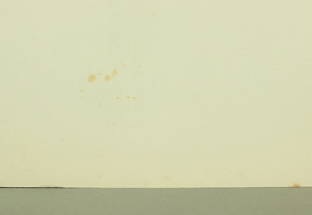 Thumbnail 14