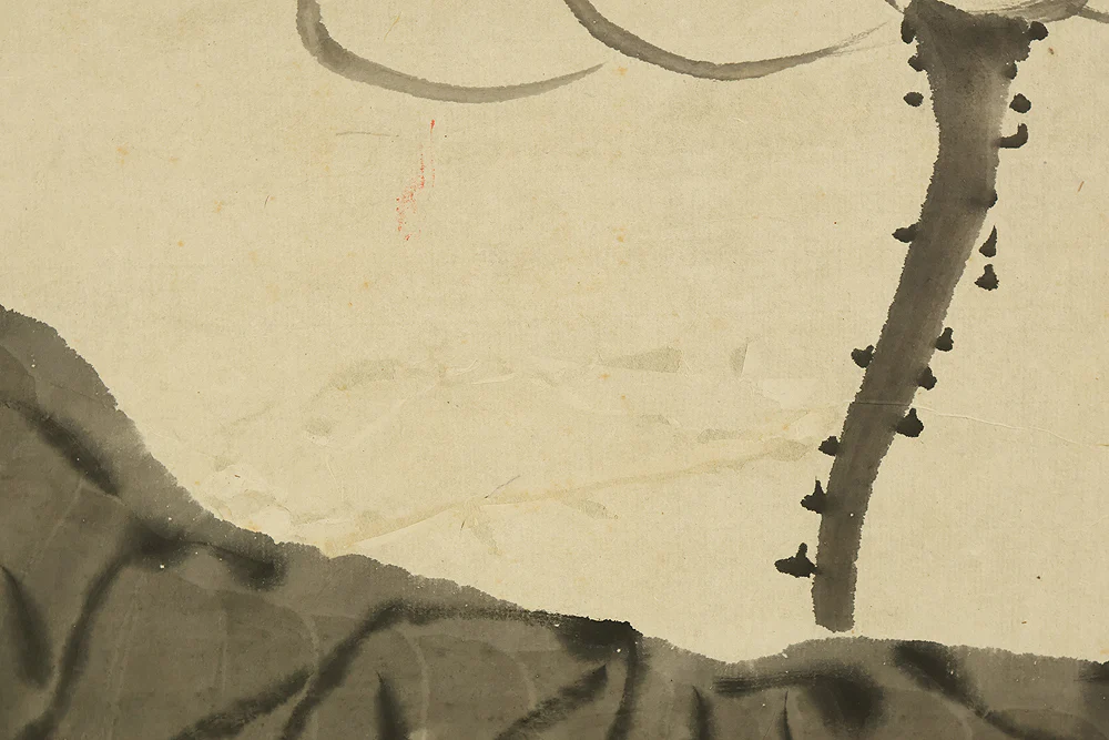Thumbnail 14