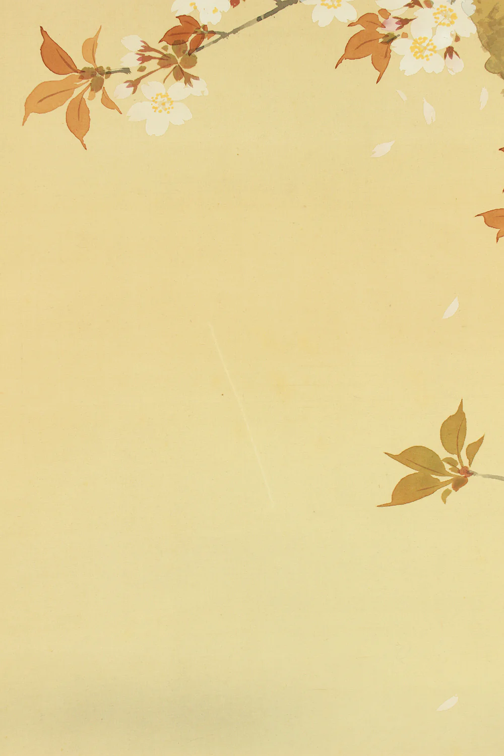 Thumbnail 15