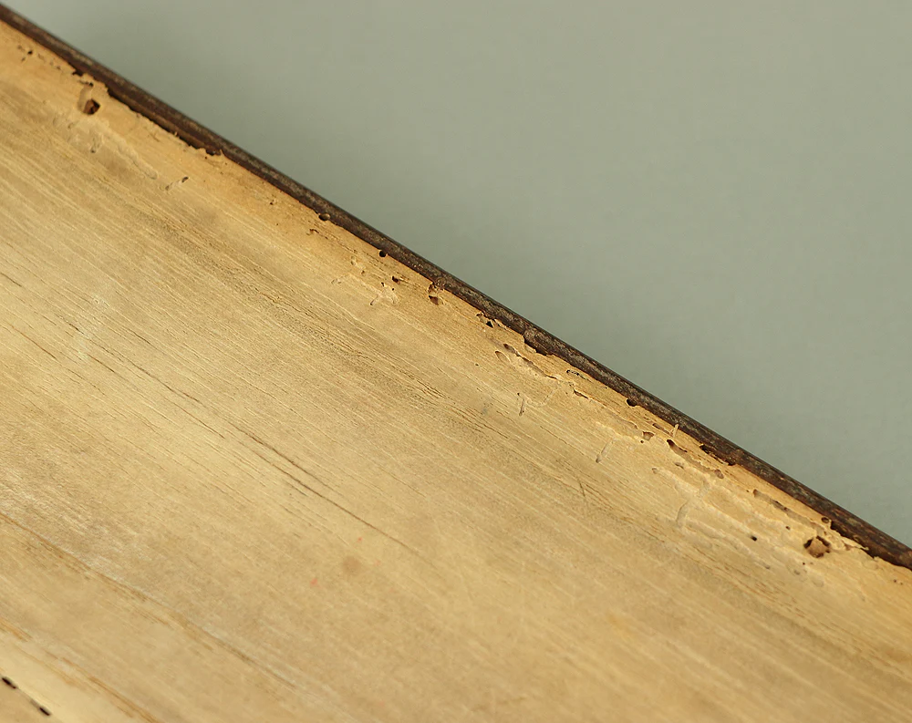 Thumbnail 29